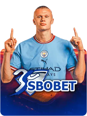 imgi_9_custom_THB